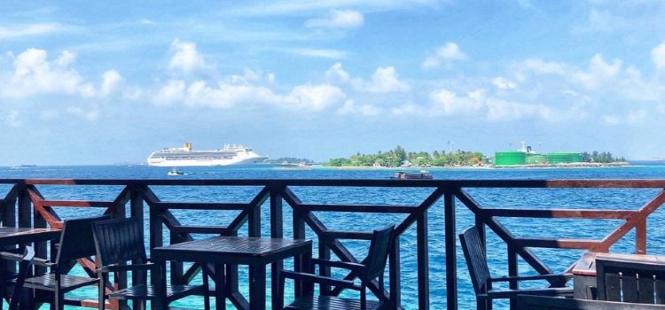 Sea House Café