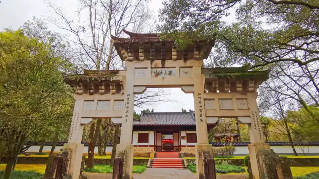 鄰近南平市武夷山國家旅遊度假區的酒店