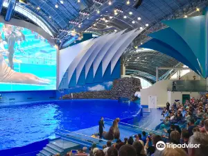 Primorskiy Oceanarium