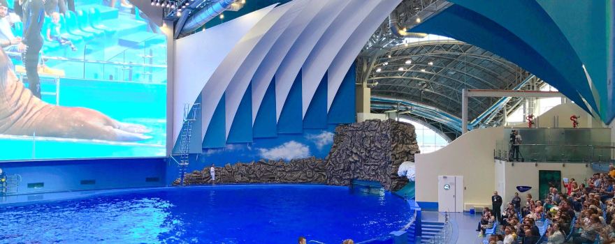 Primorskiy Oceanarium