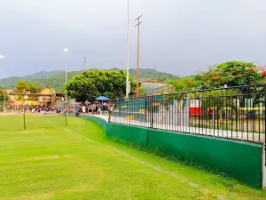 Unidad deportiva Agustín Flores Contreras