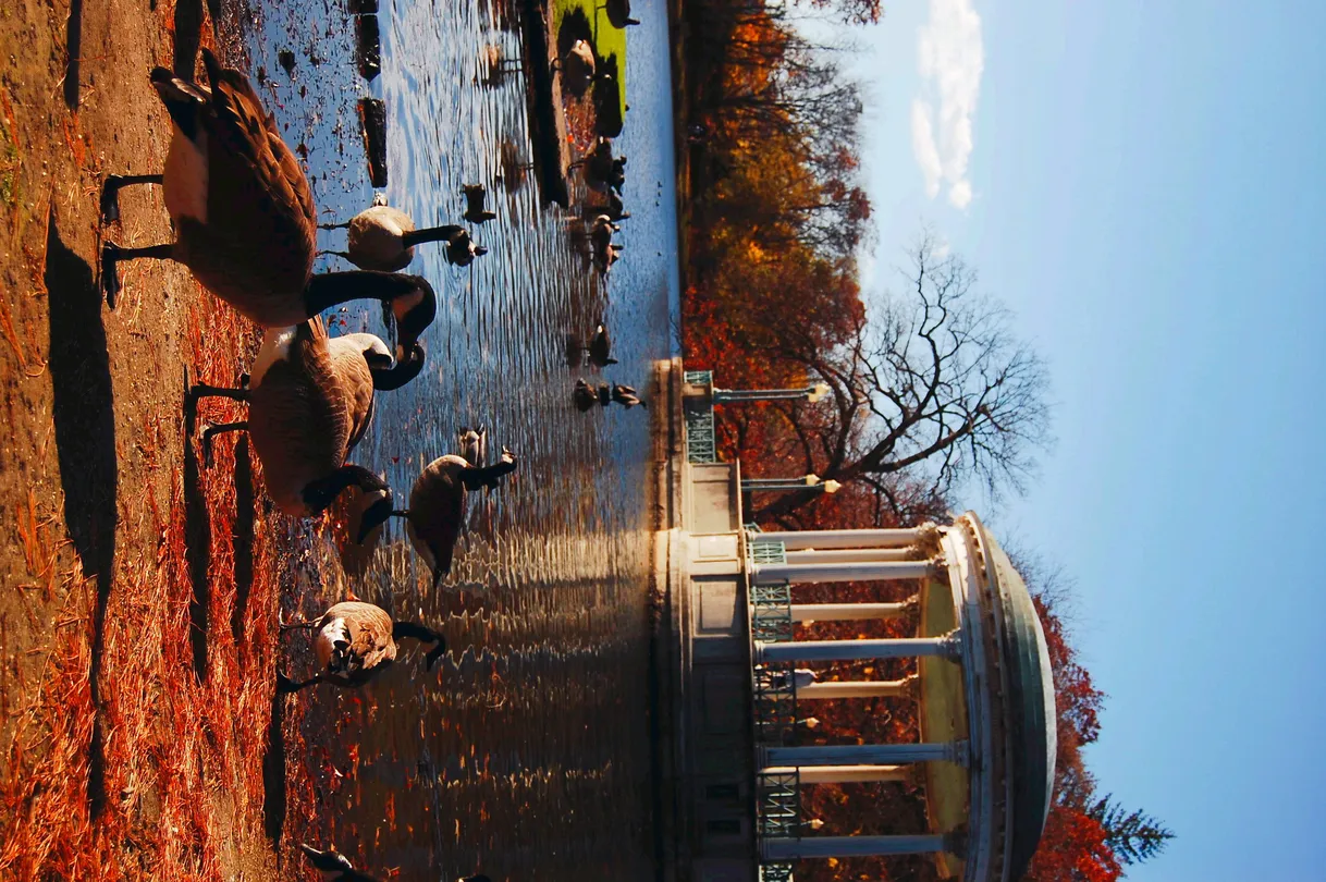 4_Roger Williams Park Zoo