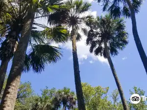 Juniper Springs Recreation Area