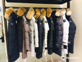 Canada Goose
