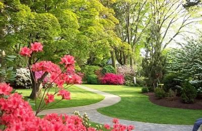 Keithan’s Bluebird Gardens