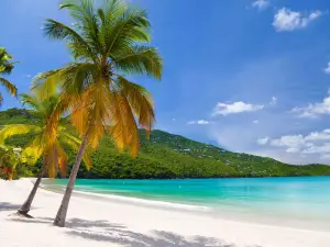 Virgin Island's Beach