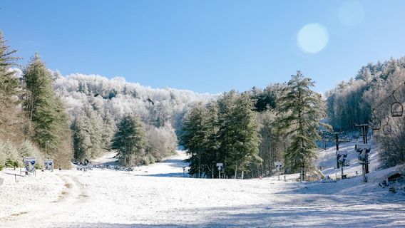 Wolf Ridge Ski Resort