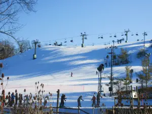 Brandywine Ski Resort