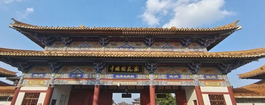 중국국화원