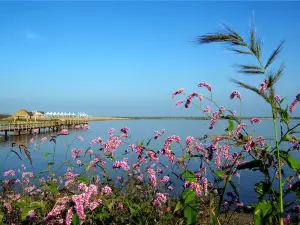 Hulanhekou Wetland Scenic Area