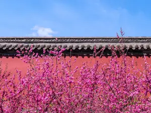 Qing Zhao Tomb