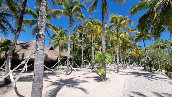 Oficinas Xcaret Xel Ha Explore