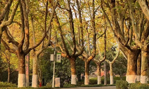Pengzu Garden