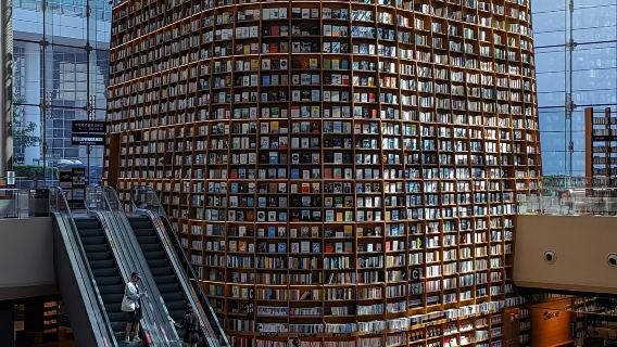 Starfield Library