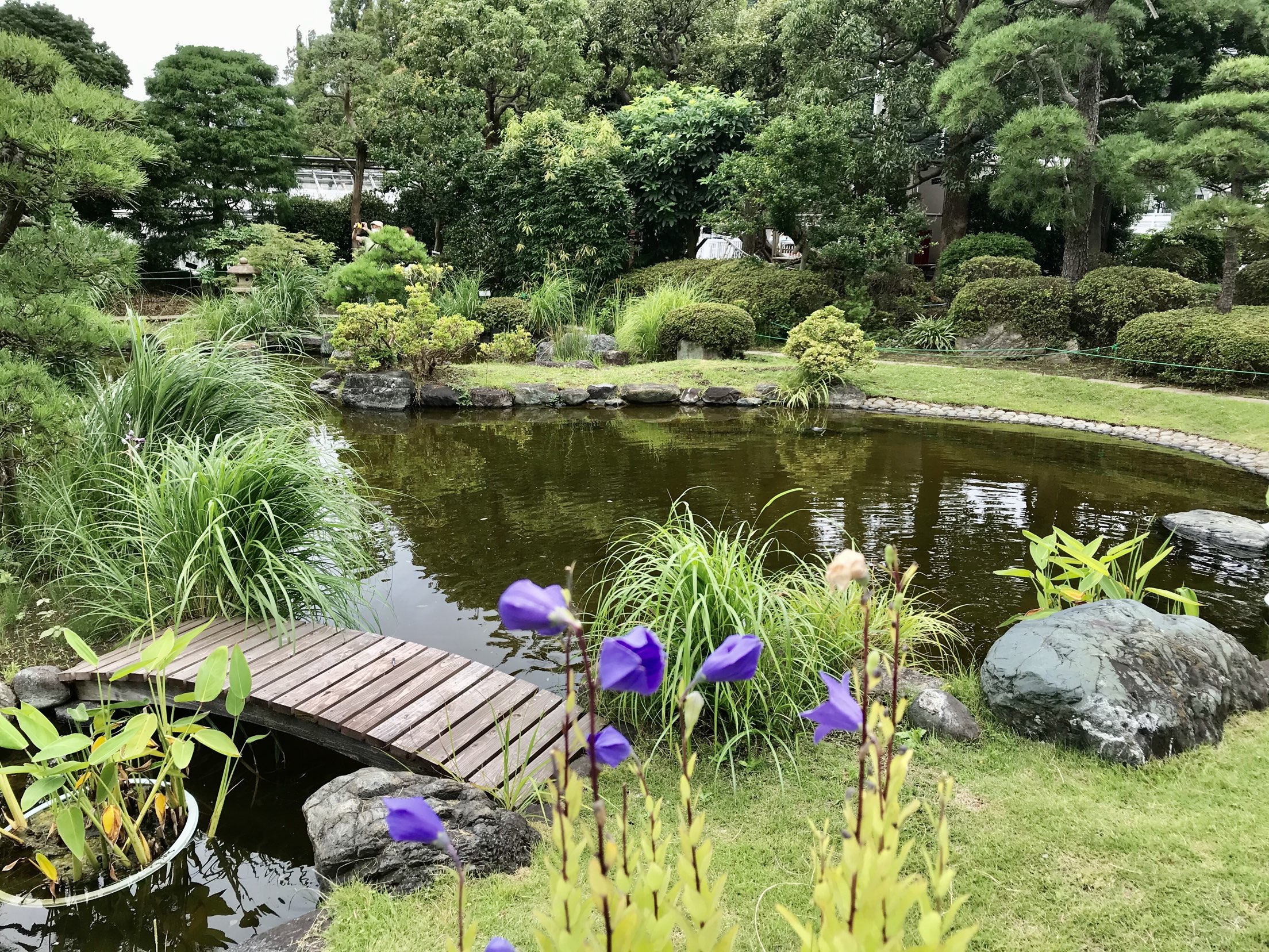 鎌倉 神奈川県大船植物園 評判 案内 トリップドットコム