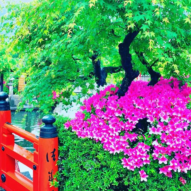 京都　異界への入口で龍神の棲み処