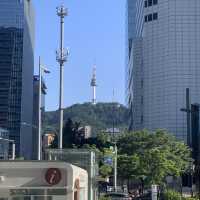 청계천부터 시작하는 산책코스 추천! 