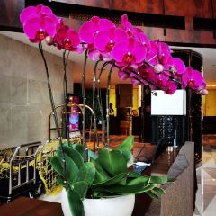 The River House Western Restaurant & Lounge ảnh của người dùng