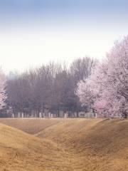 Olympic Forest Park (North Park West Gate)