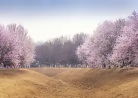 Олимпийский лесной парк-Северный сад