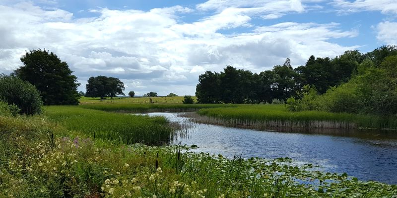 Xiazhu Lake Wetland Park, Deqing