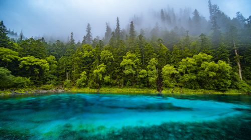 Colorful Pond