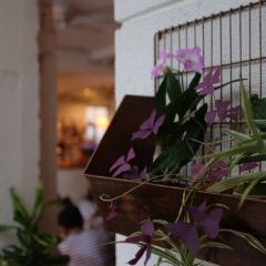 點味咖啡(WEi CAFE)張用戶圖片