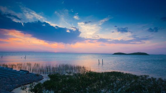 Customized service for the whole territory of Wuhai, Inner Mongolia|Chinese-English translation private charter(Business|Exhibition|Study tour |on foot|Customizable for multiple days|Professional interpretation and translation) reception service for foreign groups$