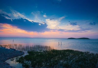 Wuhai Lake Eco-Tourism Area