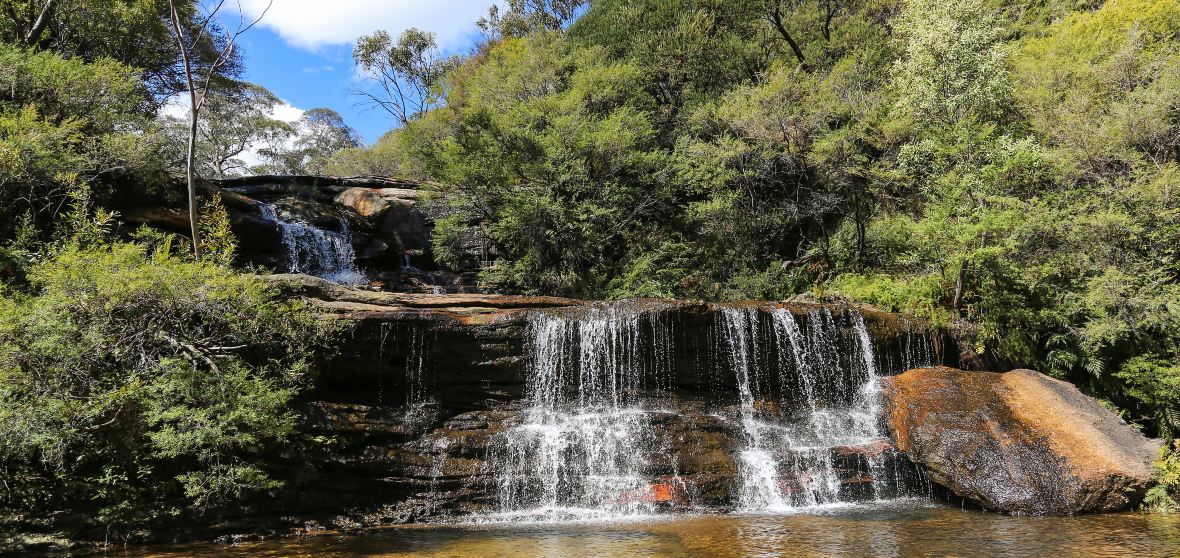 Things to Do in Wentworth Falls in 2024 Top Attractions, Local Food