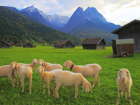 Bavarian Alps