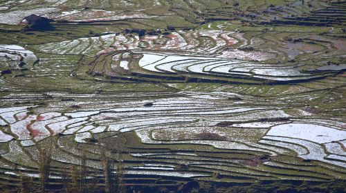 Baping Terraces