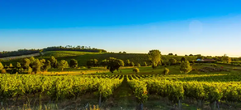 Khách sạn 5 Sao tại Hessen, Đức