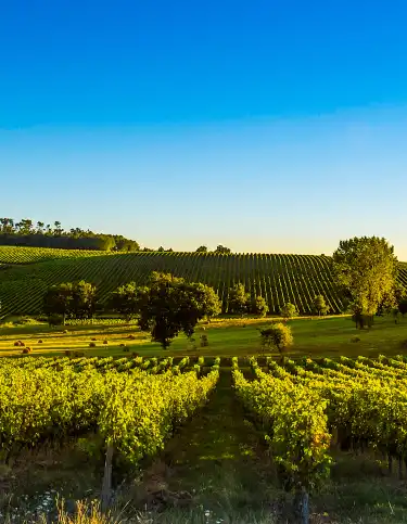  case vacanza in affitto nella provincia di Assia, Germania
