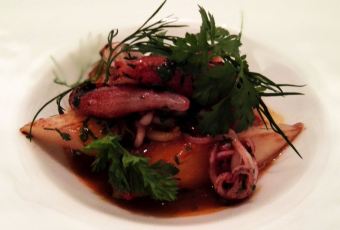 Quintessence用戶圖片