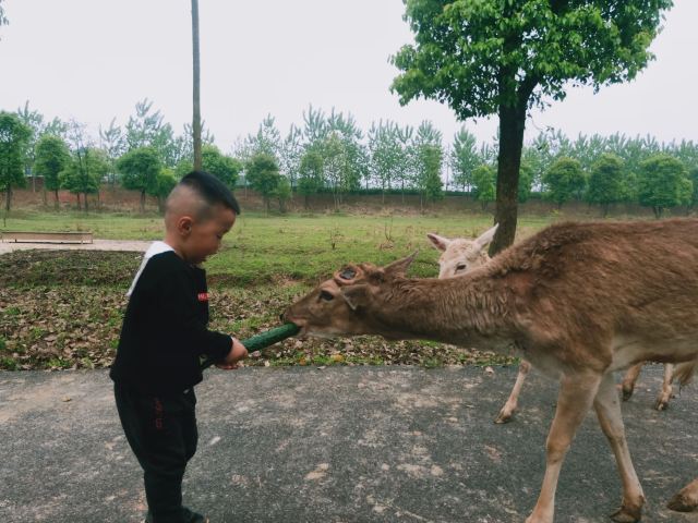 Yangsha Lake International Tourism Resort