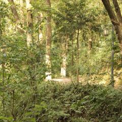 Tempura Kondo User Photo