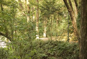 天婦羅近藤用戶圖片