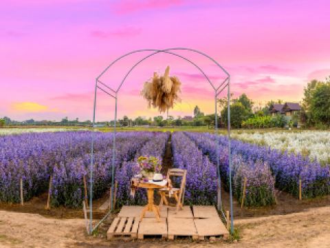 แม่ริม วางแผนการเดินทาง 4วัน3คืน แพ็คเกจท่องเที่ยว