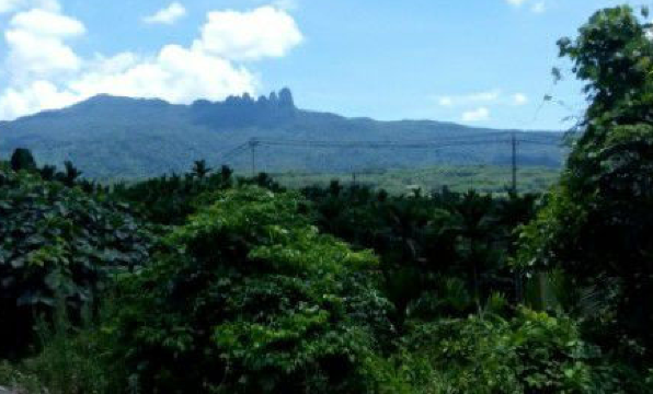Hainan Bangxi Provincial Nature Reserve