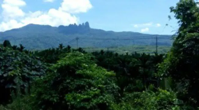 海南邦溪省級自然保護區