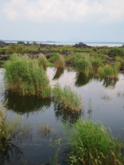 Heixiaziling Primitive Forest