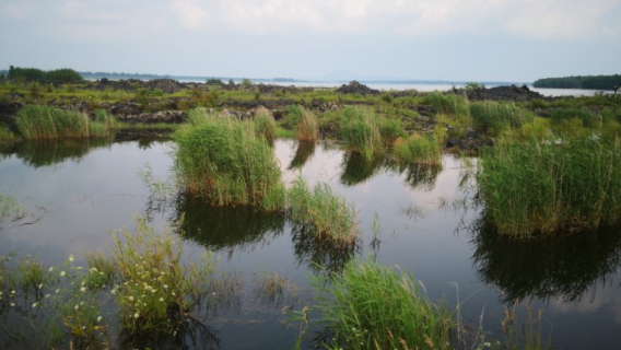 Heixiaziling Primitive Forest