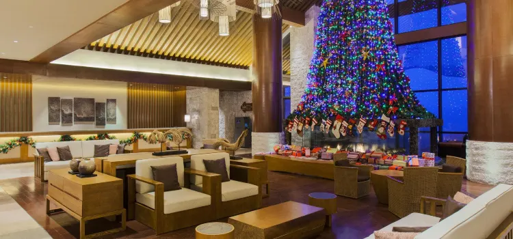 Changbai Mountain Wanda Holiday Resort Hotel － Peak Bar