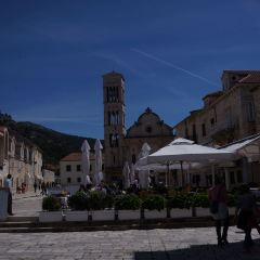 Dalmatino User Photo