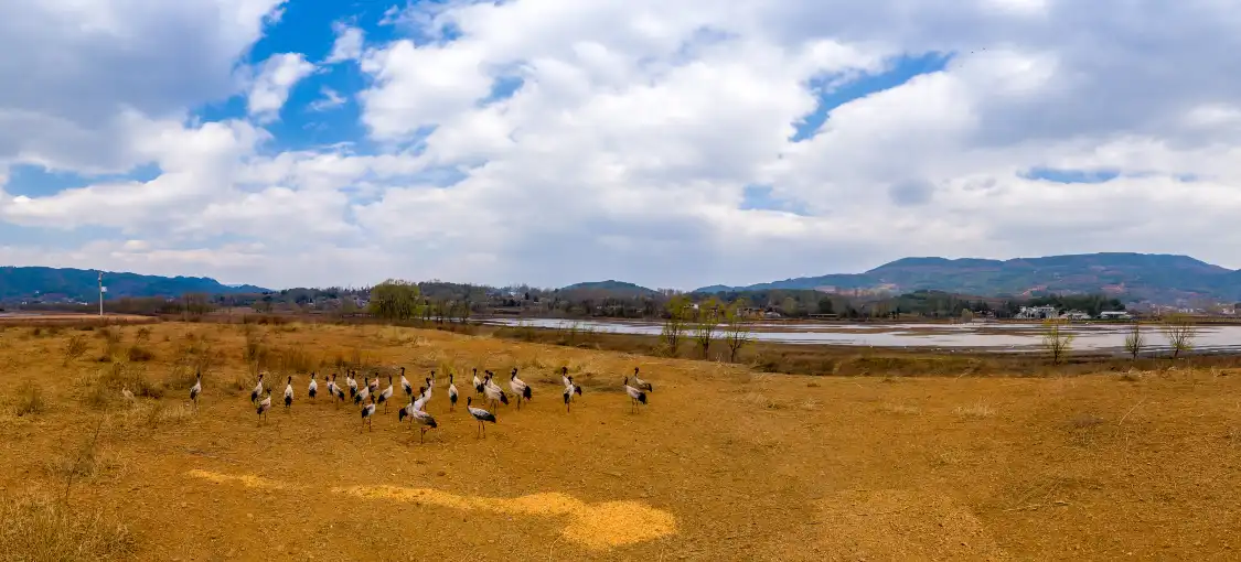 Hotels near Daqiao National Grusnigricollis Natural Reserve