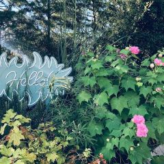 Little Darling Coffee Roasters User Photo