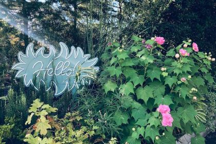 Little Darling Coffee Roasters