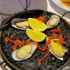 Solar dos Presuntos User Photo