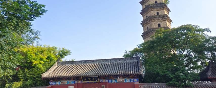 大覺寺